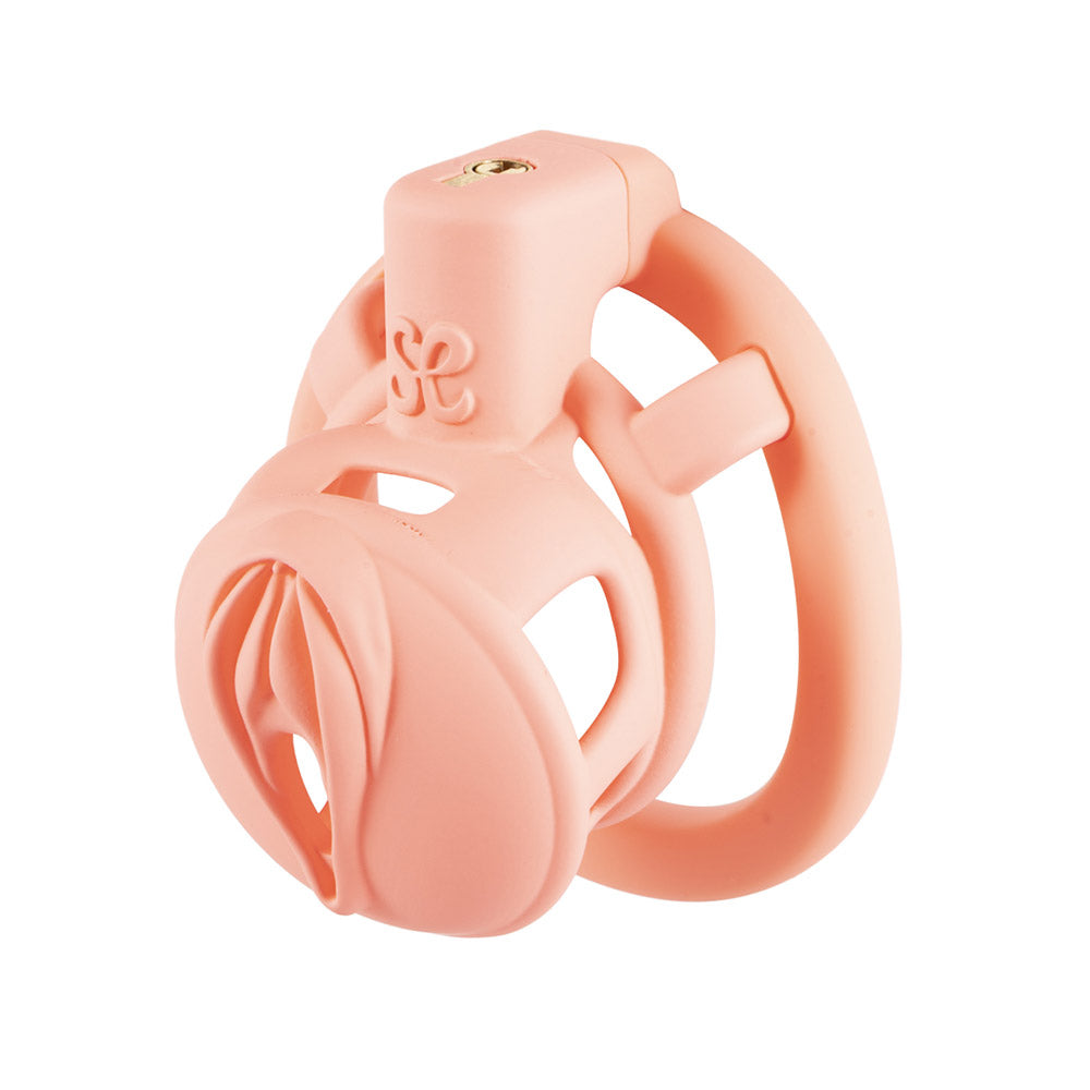 Schrägansicht des pinken Käfigs