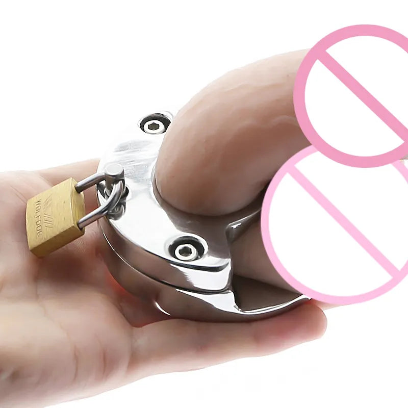 Ringkonstruktion mit Demonstrationsdarstellung