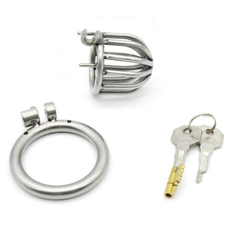 Zerlegter Käfig mit Basisring und Schlüsseln