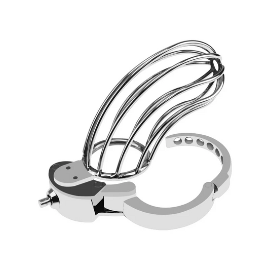 Modell 69 mit geöffnetem Basisring