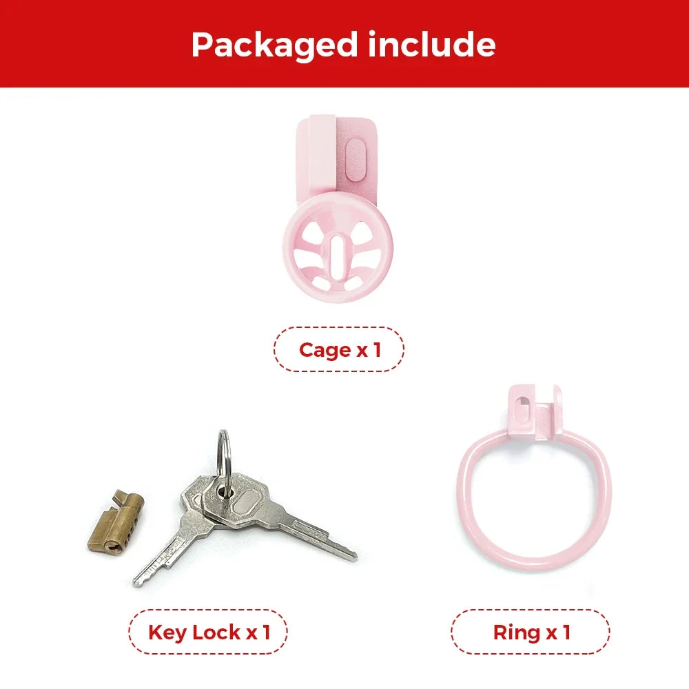 Abgebildeter Lieferumfang aus Käfig, einem Ring und Schloss