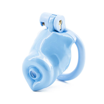 Mittlerer blauer Käfig