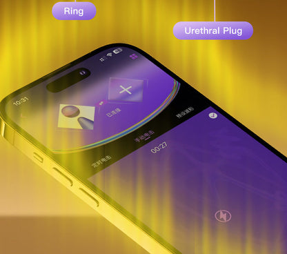 Appdarstellung für Ring und Einsatz