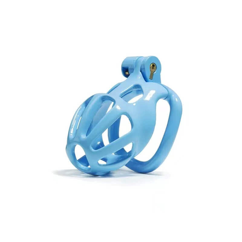 D2L – blaue Hülle schräg
