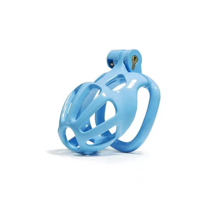 D2L – blaue Hülle schräg