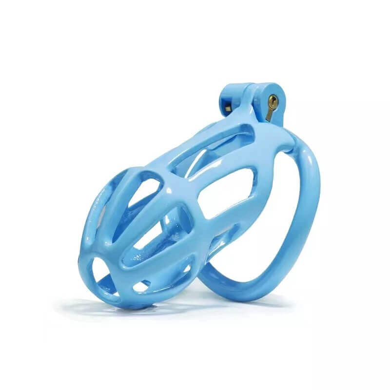 C2L – blaue Hülle schräg