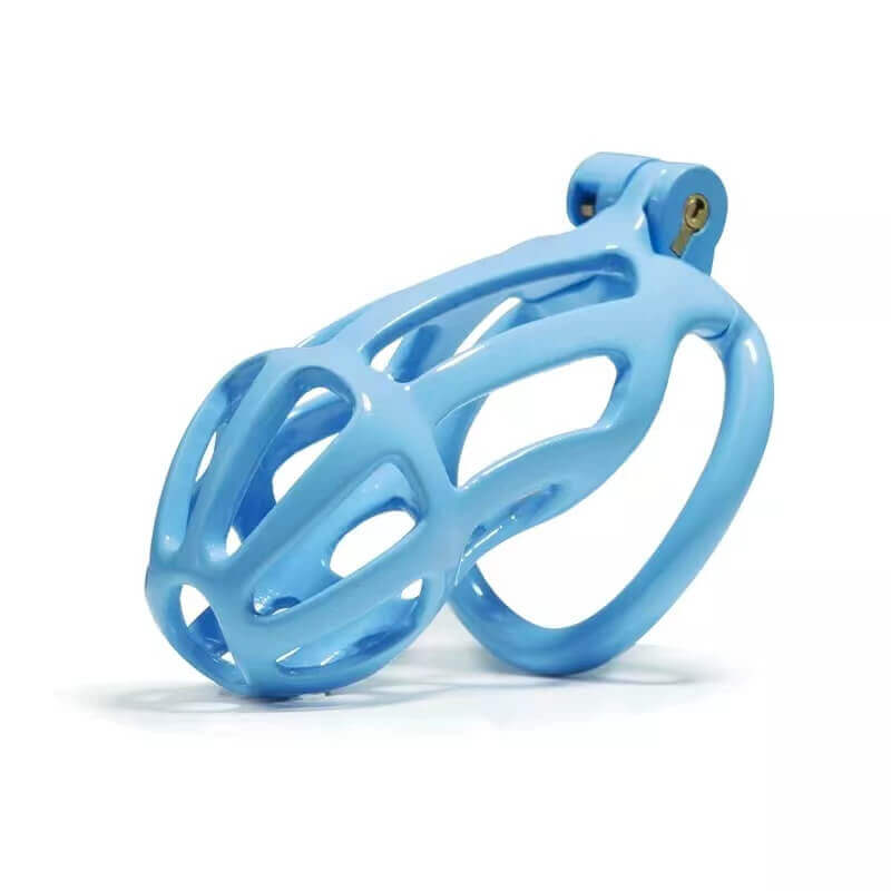 B2L – blaue Hülle schräg