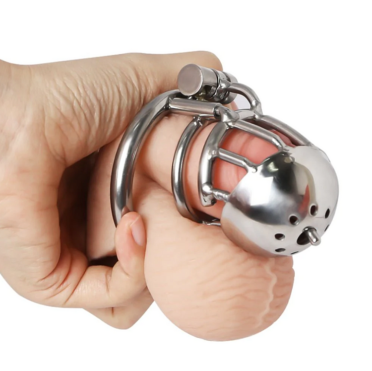 Dome in der Hand mit Demonstrationsansicht