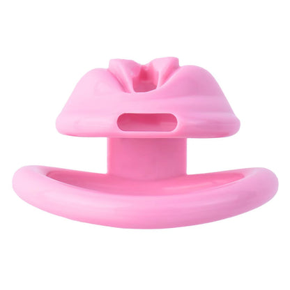 Pinke Frontplatte und Basisring von oben