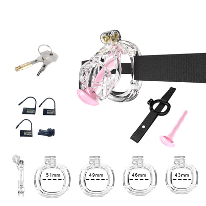 Transparentes Mamba-Set mit vier Ringen