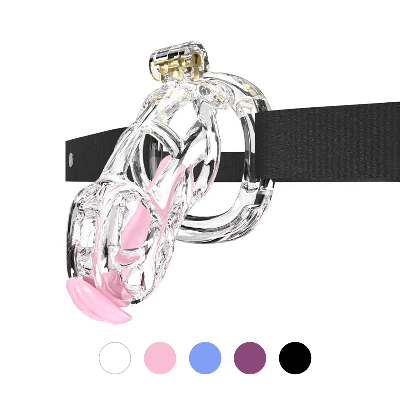 Transparente Hülle und verfügbare Farben
