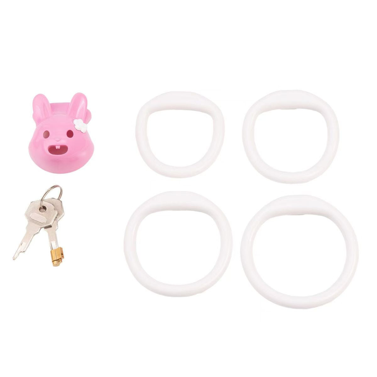 Pinke Hülle mit vier Ringen und Schlüsseln