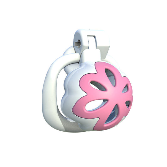 Pinke Blütenfront mit weißem Ring