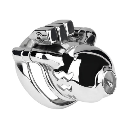 Dolphin in Schrägansicht