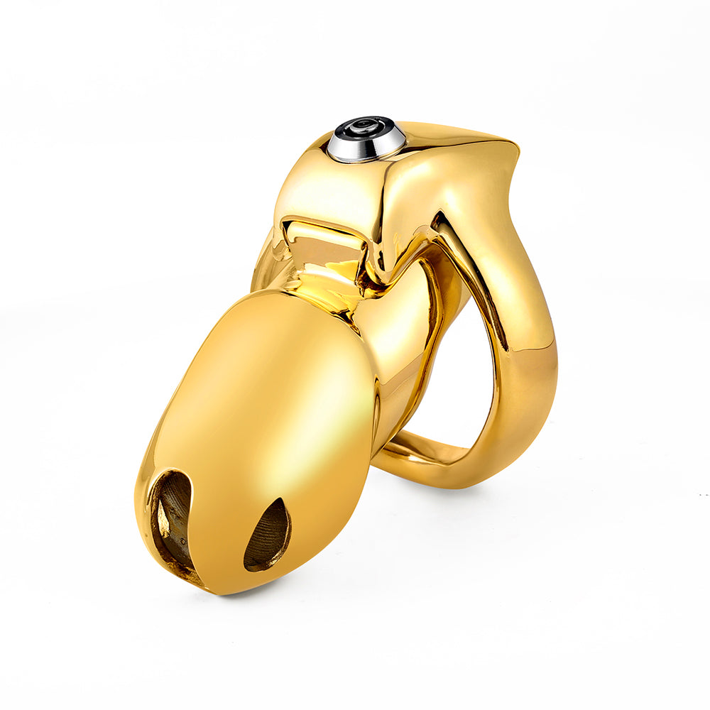Golden V5 Standard