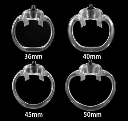 Vier Basisringgrößen 36, 40, 45 und 50 mm