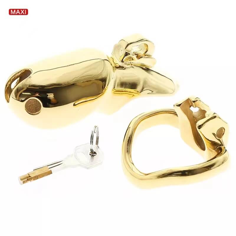 HTV3 Maxi mit separatem Ring und Schloss