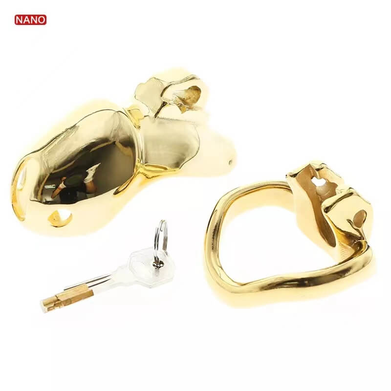 HTV3 Nano mit separatem Ring und Schloss