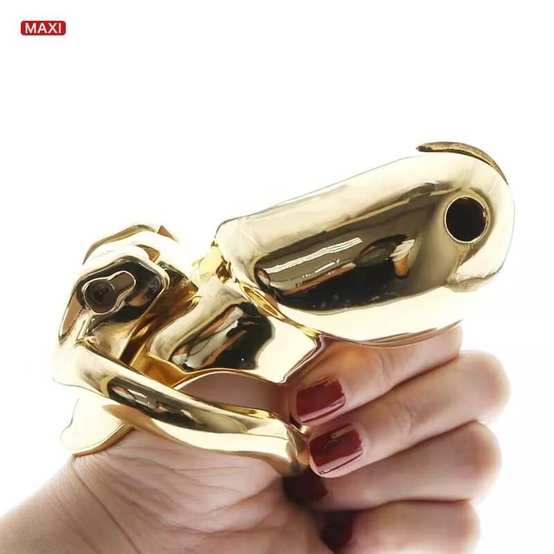 Goldfarbener HTV3 Maxi in einer Hand