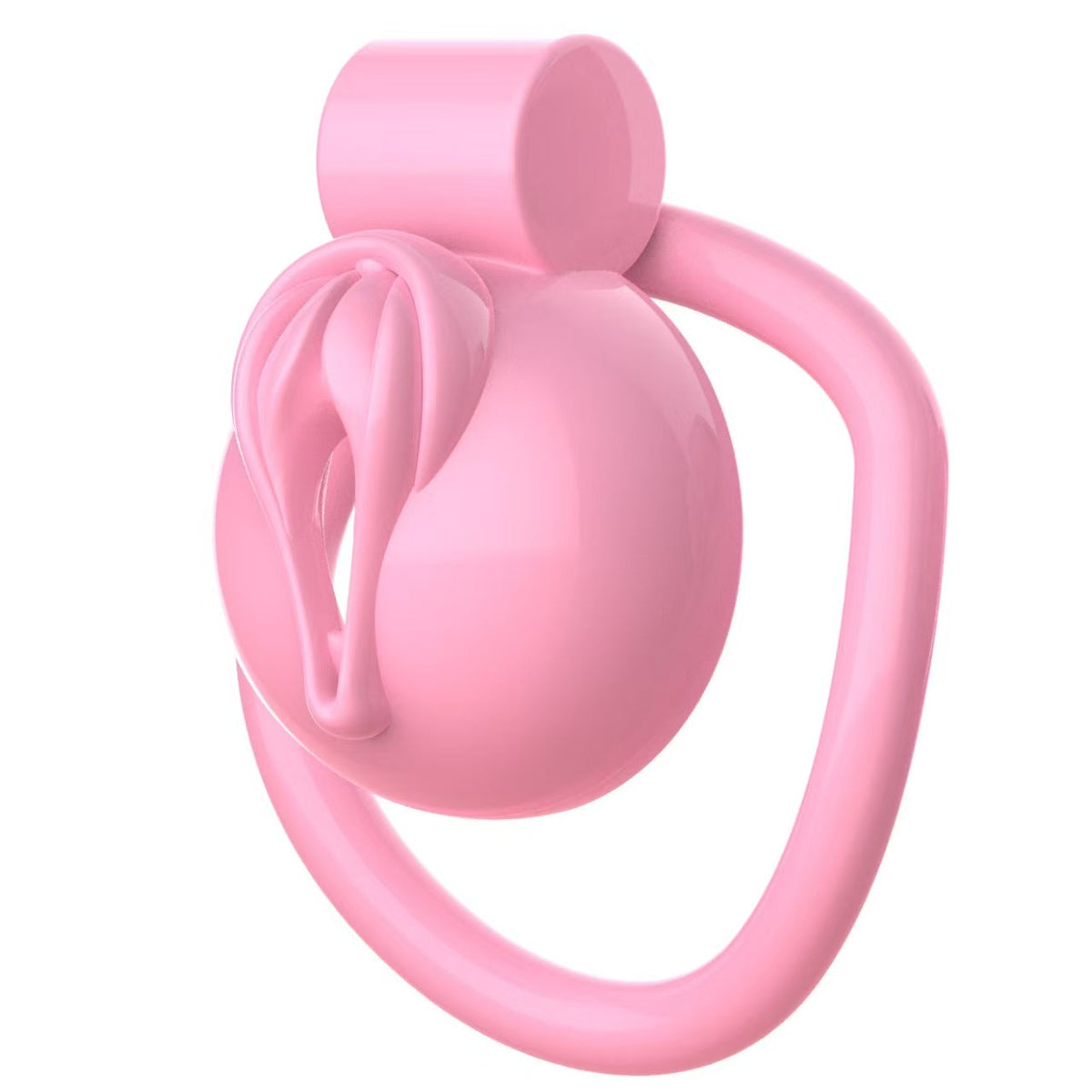 Pinke Vulvafront mit Basisring