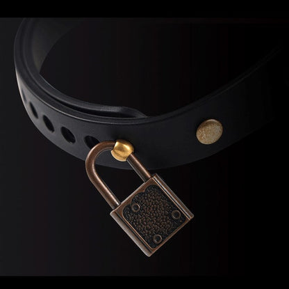 Verschlussbereich des schwarzen Halsbands