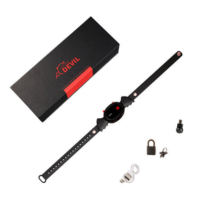 Halsband, Verpackung und Zubehör
