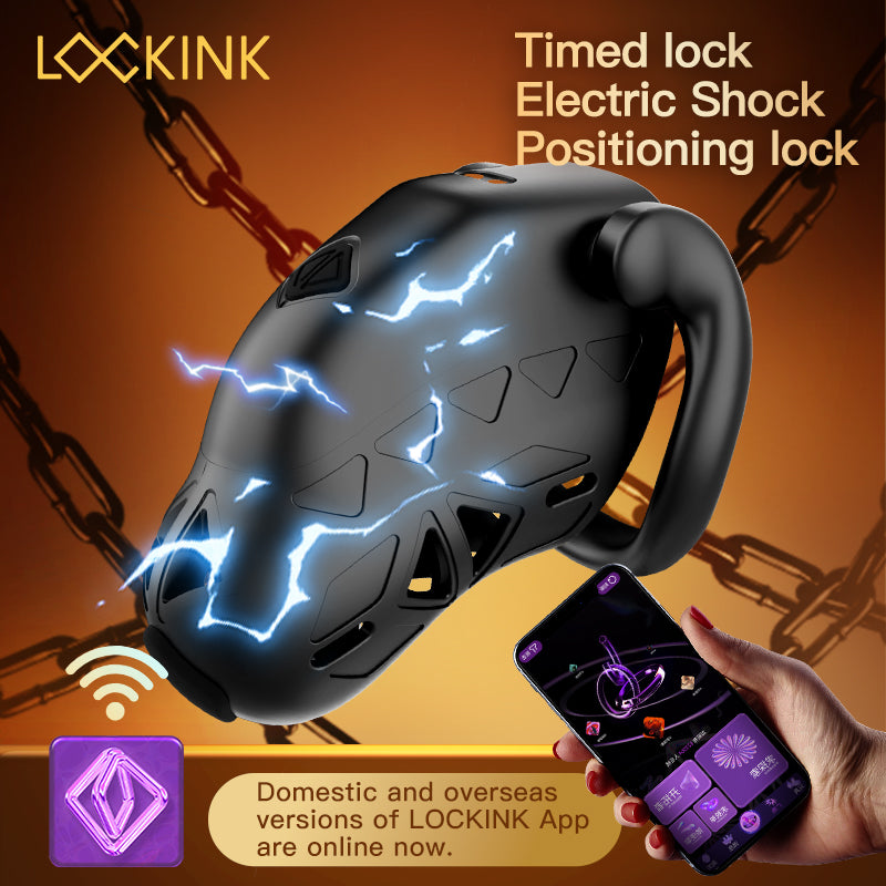 LOCKINK-App-Käfig mit elektronischem Verschluss