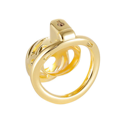 Rückansicht des Käfigs und Rings