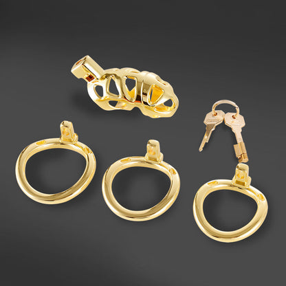 Goldfarbenes Set mit drei Ringen, Schloss und Schlüsseln