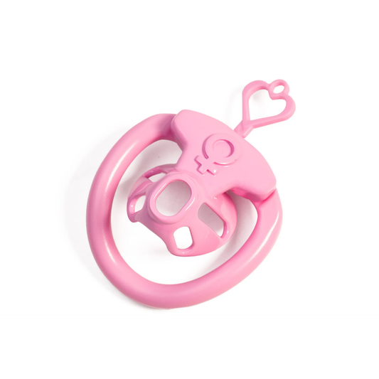 Pinker Mini-Käfig mit Herzschlüssel