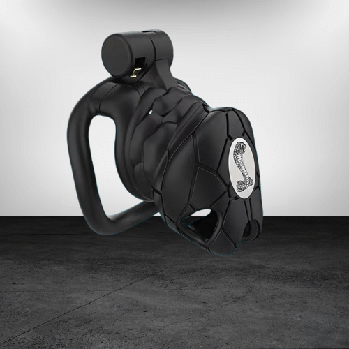 Cobra 8.0 mit strukturierter Front