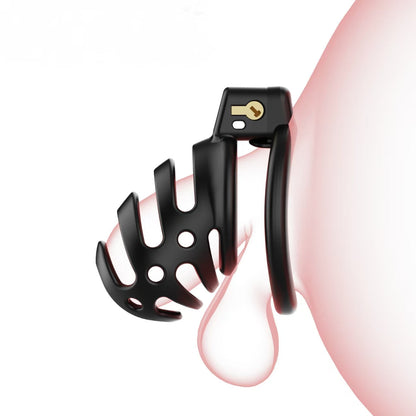 Seitlich offener Armor-CB-Aufbau