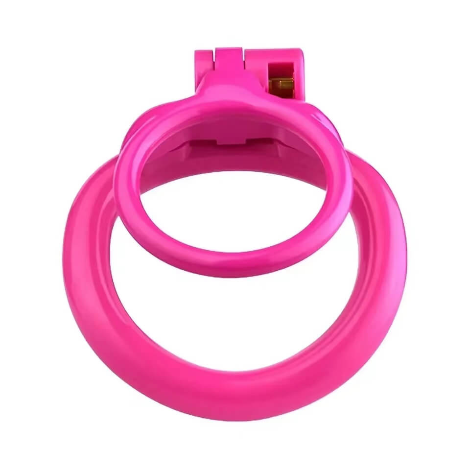 Oberes Schlossgehäuse und offene Ringform
