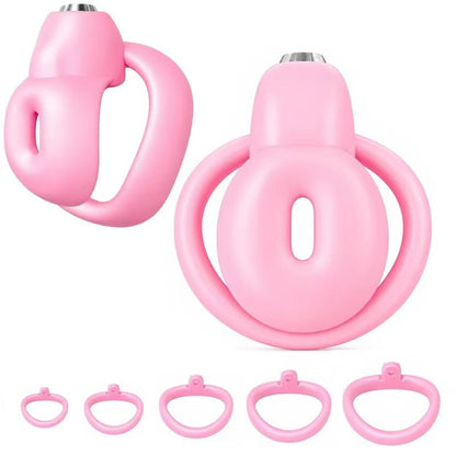 Pinke Hülle mit Ringübersicht