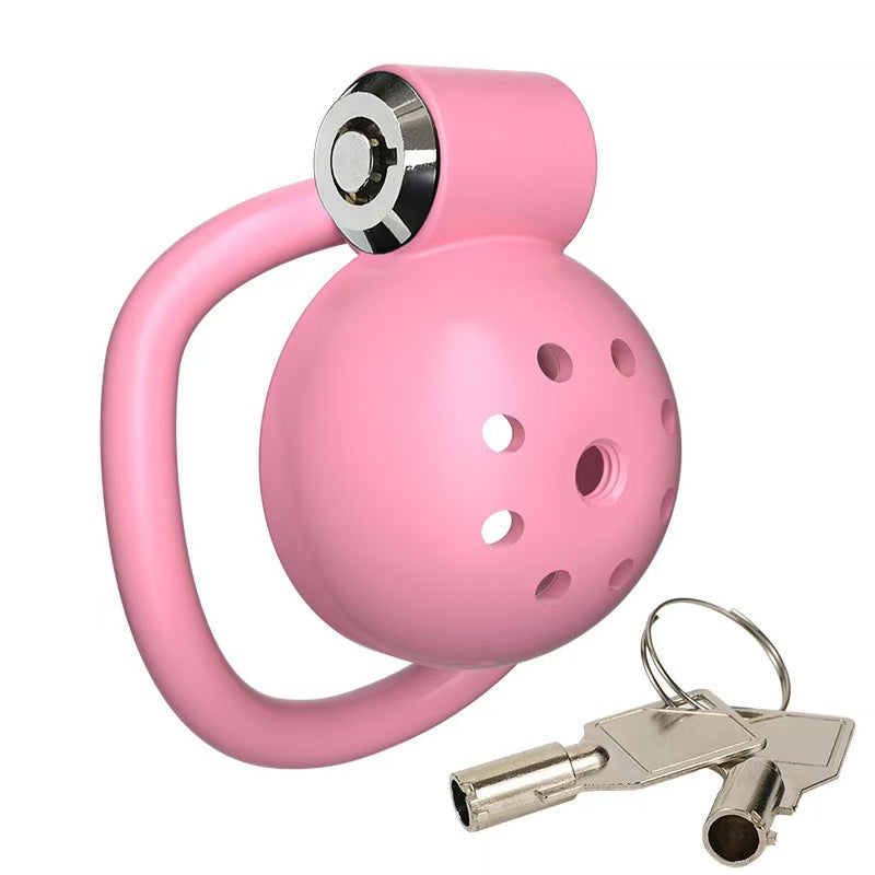 Pinker Käfig mit Schlüsseln