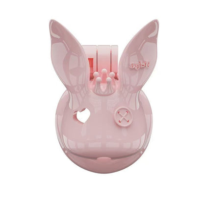 Pinke Form B