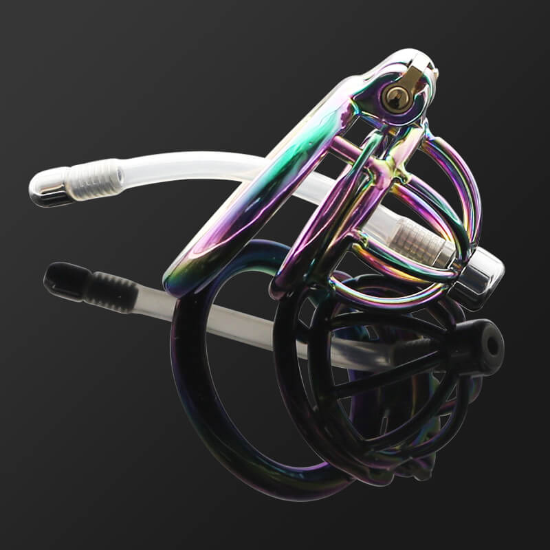Regenbogenkäfig vor schwarzem Hintergrund