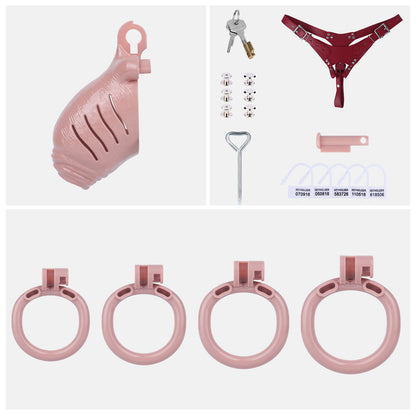 Beiges Set mit rotem Gurt