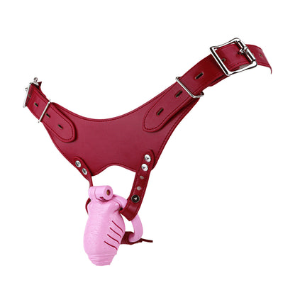 Pinke Hülle am roten Gurt