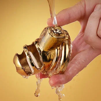 Reinigung des goldfarbenen Käfigs