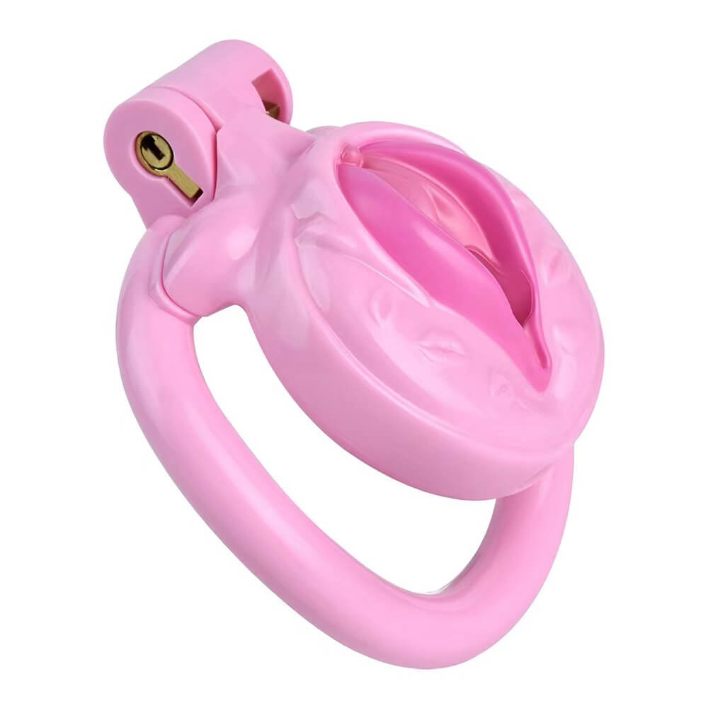 Schrägansicht des pinken Käfigs