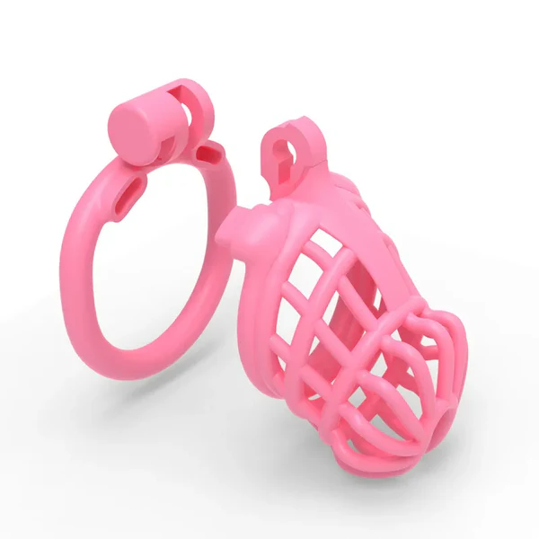 Pinke Hülle und flacher Ring einzeln