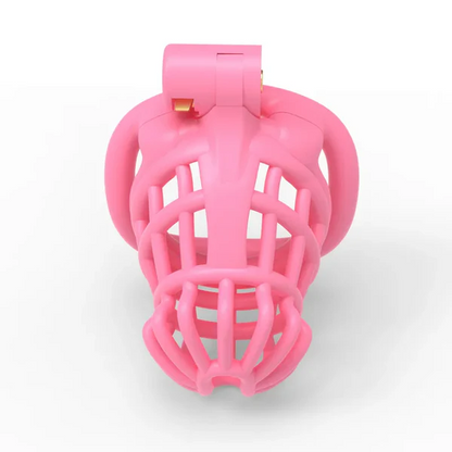 Pinke Gitterfront