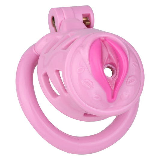 Pinke anatomische Front