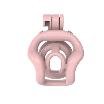 Pinke Stegenfront von vorne