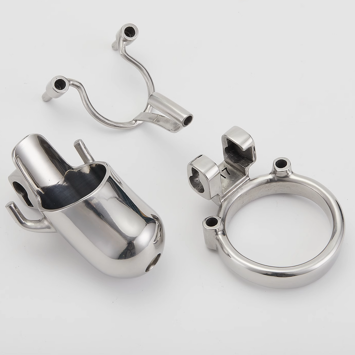 Hülle und Ring in Einzelteilen