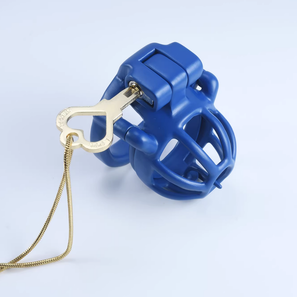 Stahlblauer Käfig mit Schlüssel