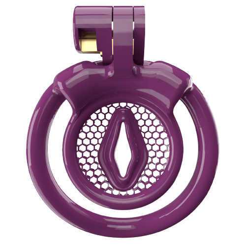 Violetter XX-2 mit Wabengitter