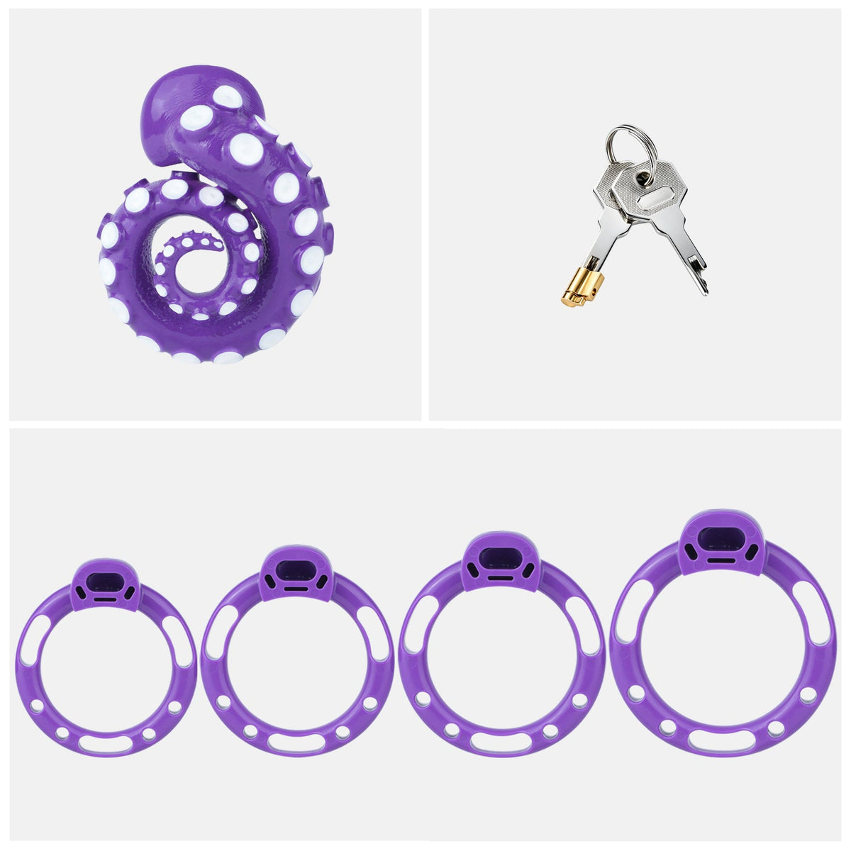 Violettes Standardset mit Ringen und Schlüsseln