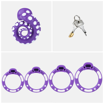Violettes Standardset mit Ringen und Schlüsseln